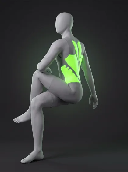 Seated Torso Twist (bodyweight)