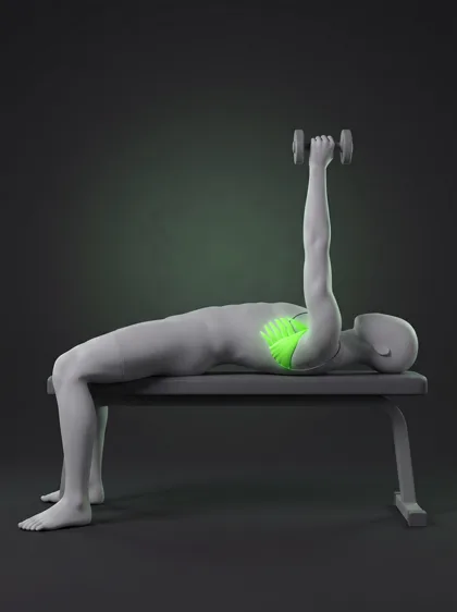 Serratus Punch