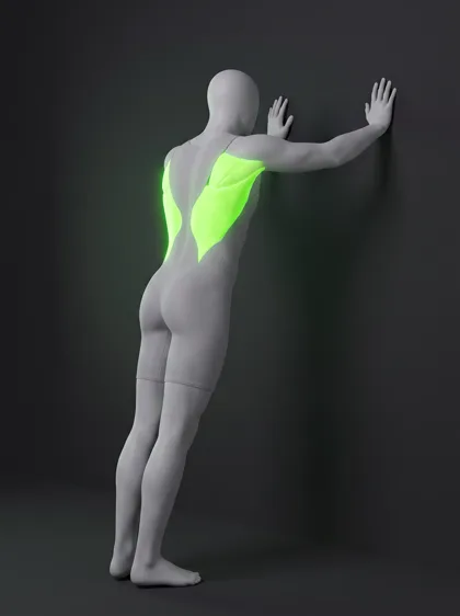 Shoulder Flexion Stretch