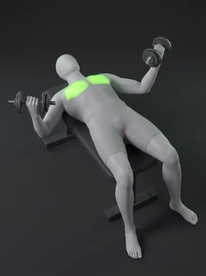 Single-Arm Dumbbell Fly