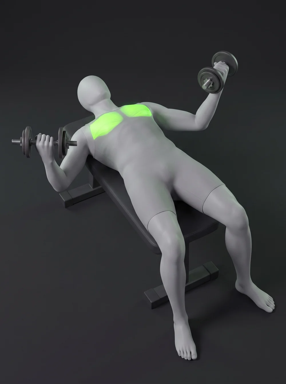 Single-Arm Dumbbell Fly