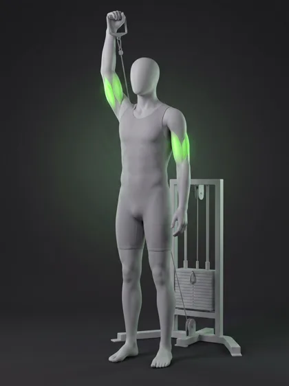 Single-Arm Cable Overhead Triceps Extension