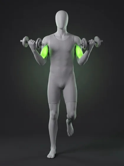 Single-Leg Dumbbell Curl