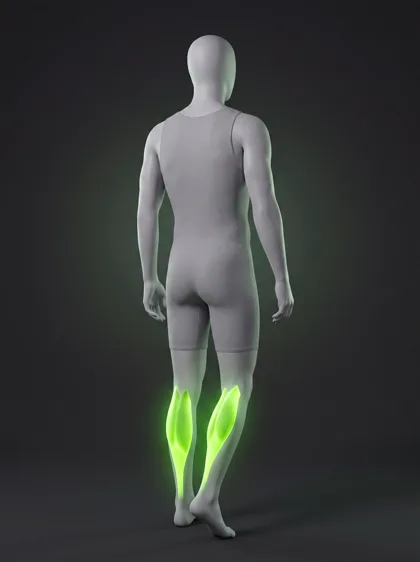 Single-Leg Heel Stand
