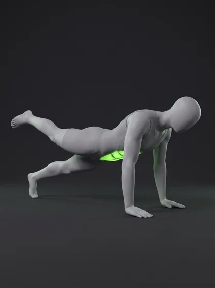 Single-Leg Plank