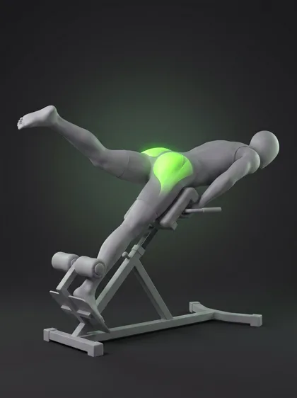 Single-Leg Reverse Hyperextension