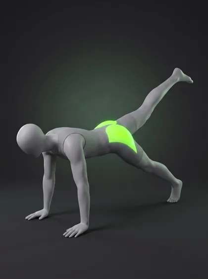 Single-Leg Reverse Plank