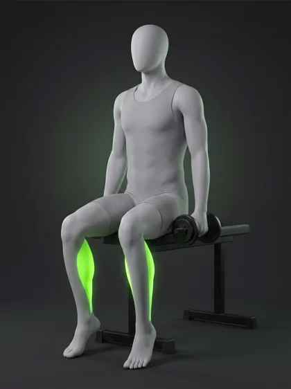 Single-Leg Seated Dumbbell Calf Raise