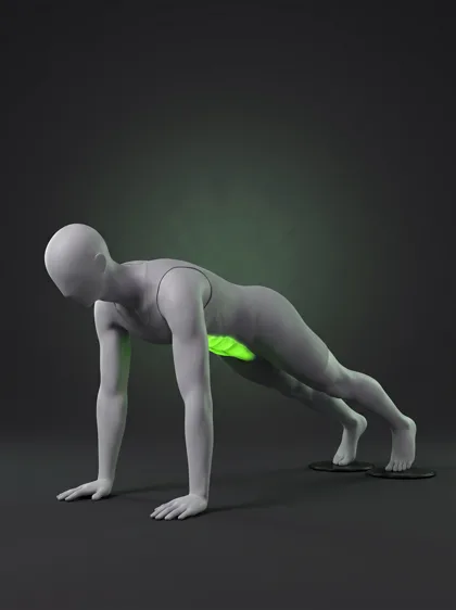Sliding Disc Pike