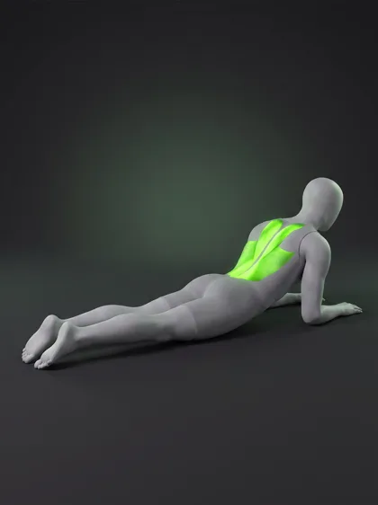 Sphinx Pose