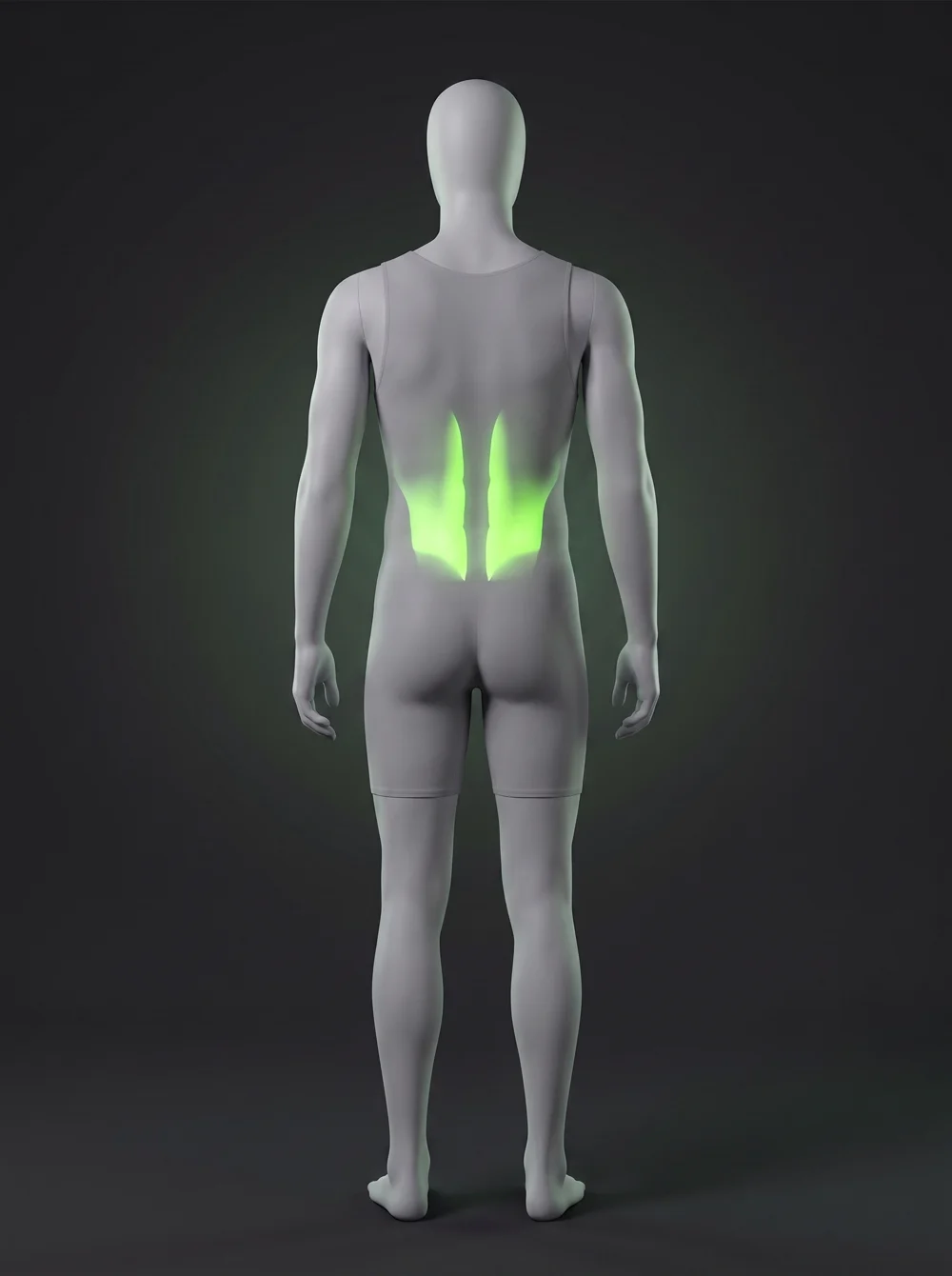 Spine Waves