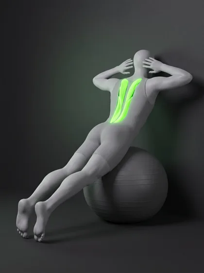 Swiss Ball Back Extension
