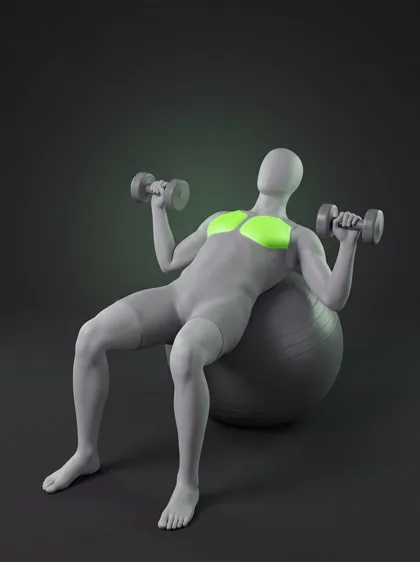 Stability Ball Dumbbell Press