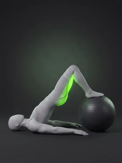 Stability Ball Hamstring Curl