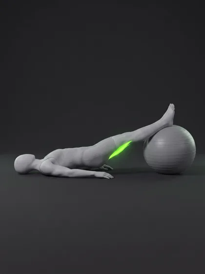Stability Ball Leg Curl