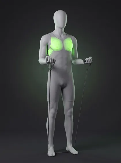 Standing Band Chest Press