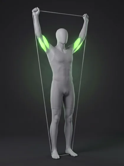 Standing Band Overhead Triceps Extension