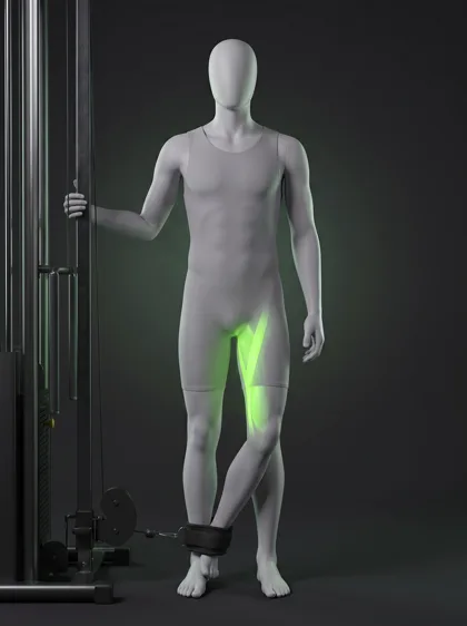 Standing Cable Hip Adduction