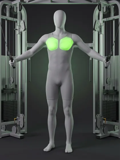 Standing Cable Crossover