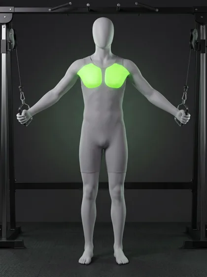 Standing High-to-Low Cable Fly