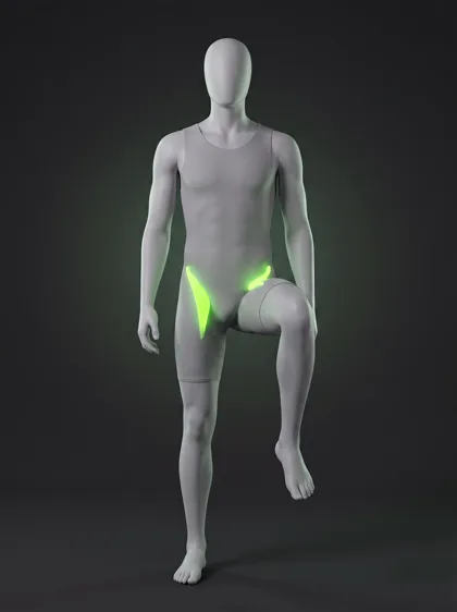Standing Knee Raise
