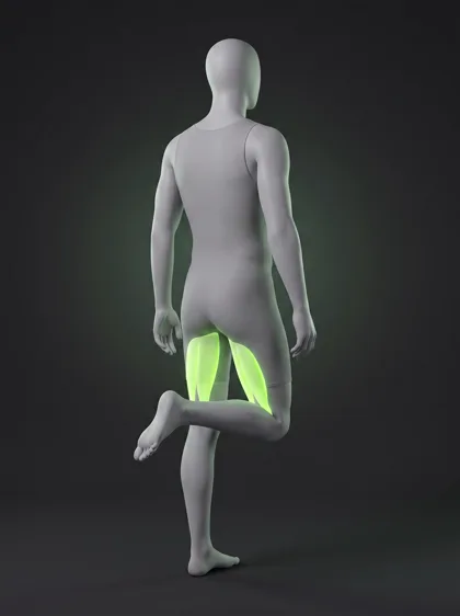 Standing Leg Curl