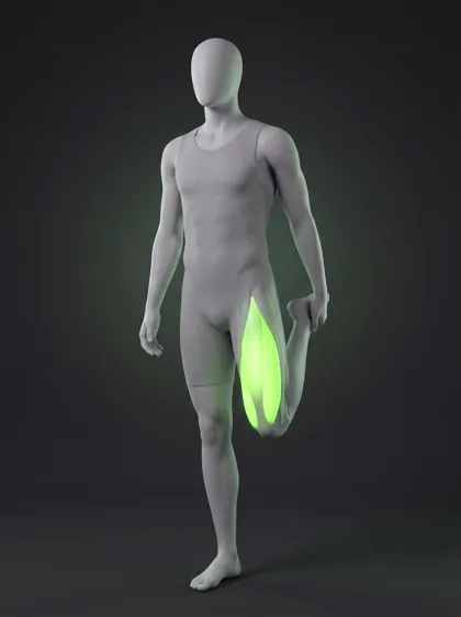Standing Quad and Hip Flexor Stretch