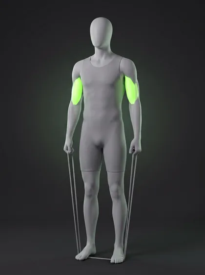 Standing Resistance Band Biceps Curl