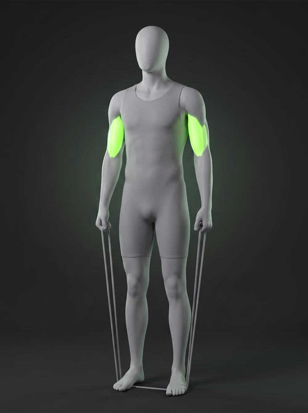 Standing Resistance Band Biceps Curl