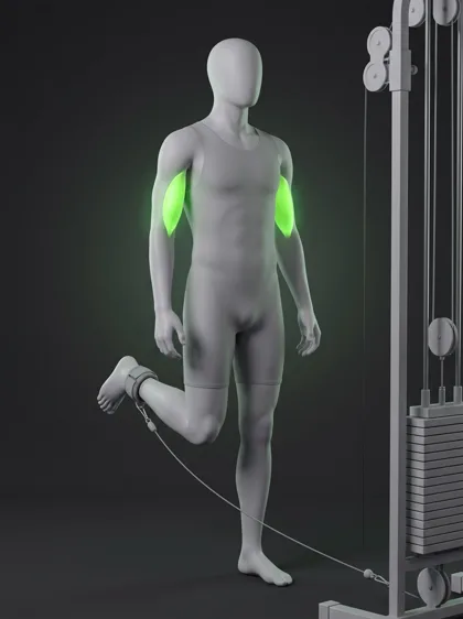 Standing Single-Leg Cable Leg Curl