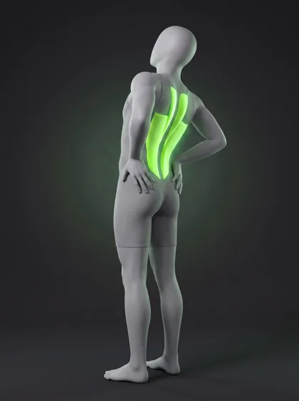 Standing Spinal Extension
