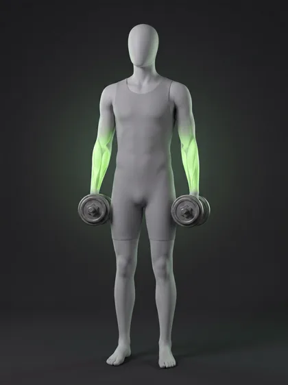 Dumbbell Isometric Hold