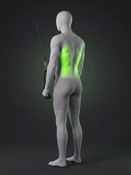 Rope Straight-Arm Pulldown