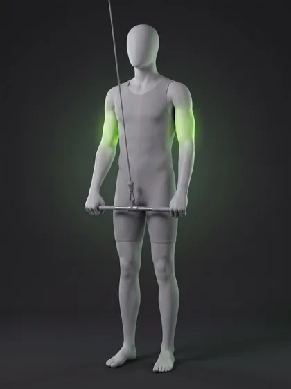 Straight-Bar Cable Triceps Pushdown