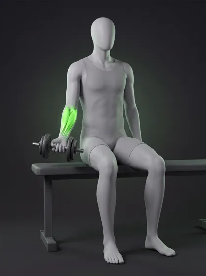 Dumbbell Pronation and Supination