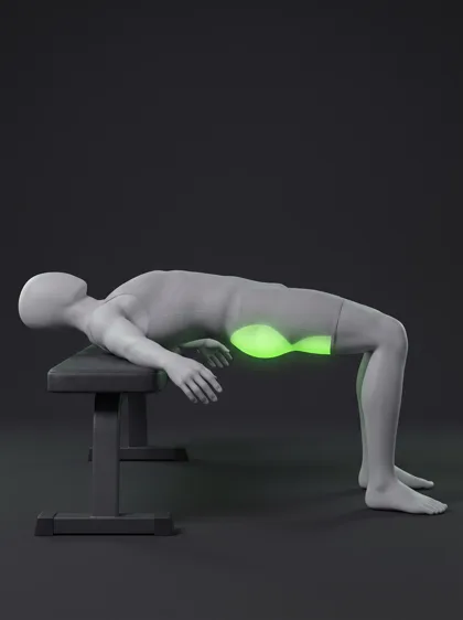 Bench Reverse Plank