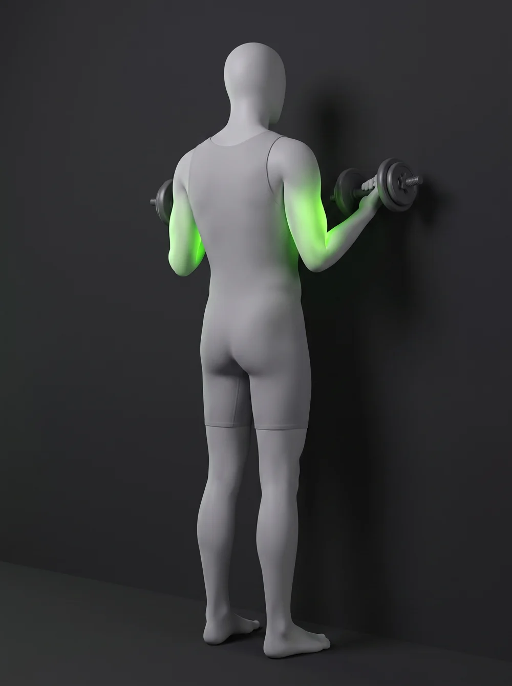Supported Standing Dumbbell Bicep Curl