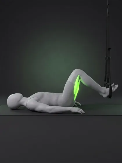 TRX Leg Curl