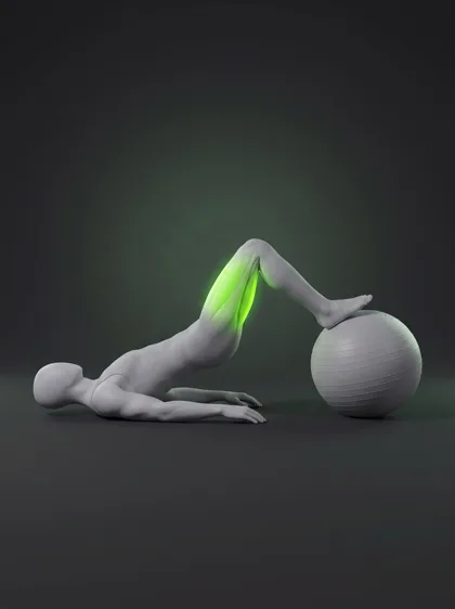 Swiss Ball Leg Curl