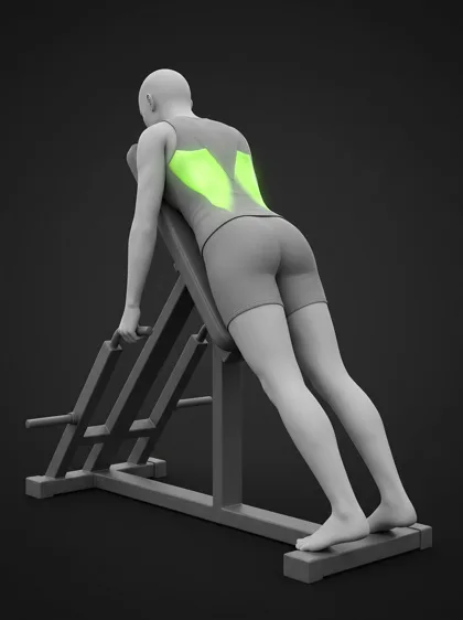 Chest-Supported T-Bar Row