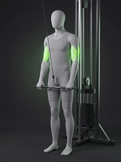 Cable Triceps Pushdown