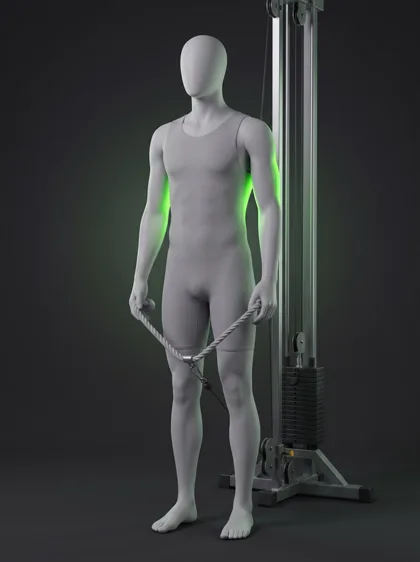Rope Triceps Pushdown