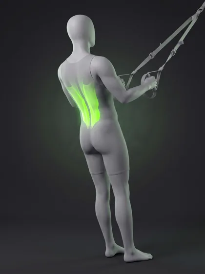 TRX Back Extension