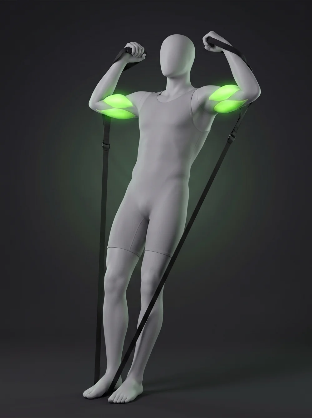 TRX Biceps Curl
