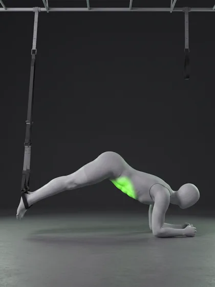 TRX Dolphin