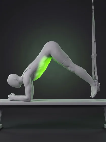 TRX Forearm Pike