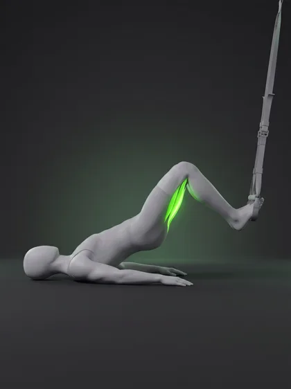 TRX Hamstring Curl