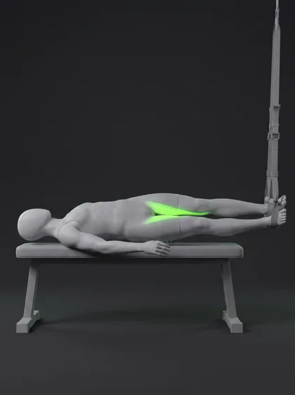 TRX Hip Adduction
