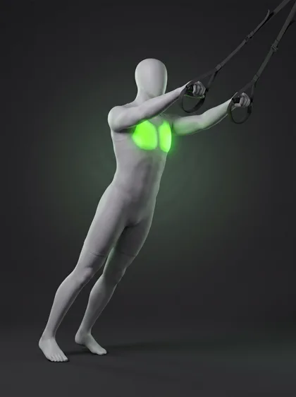 TRX Incline Chest Press