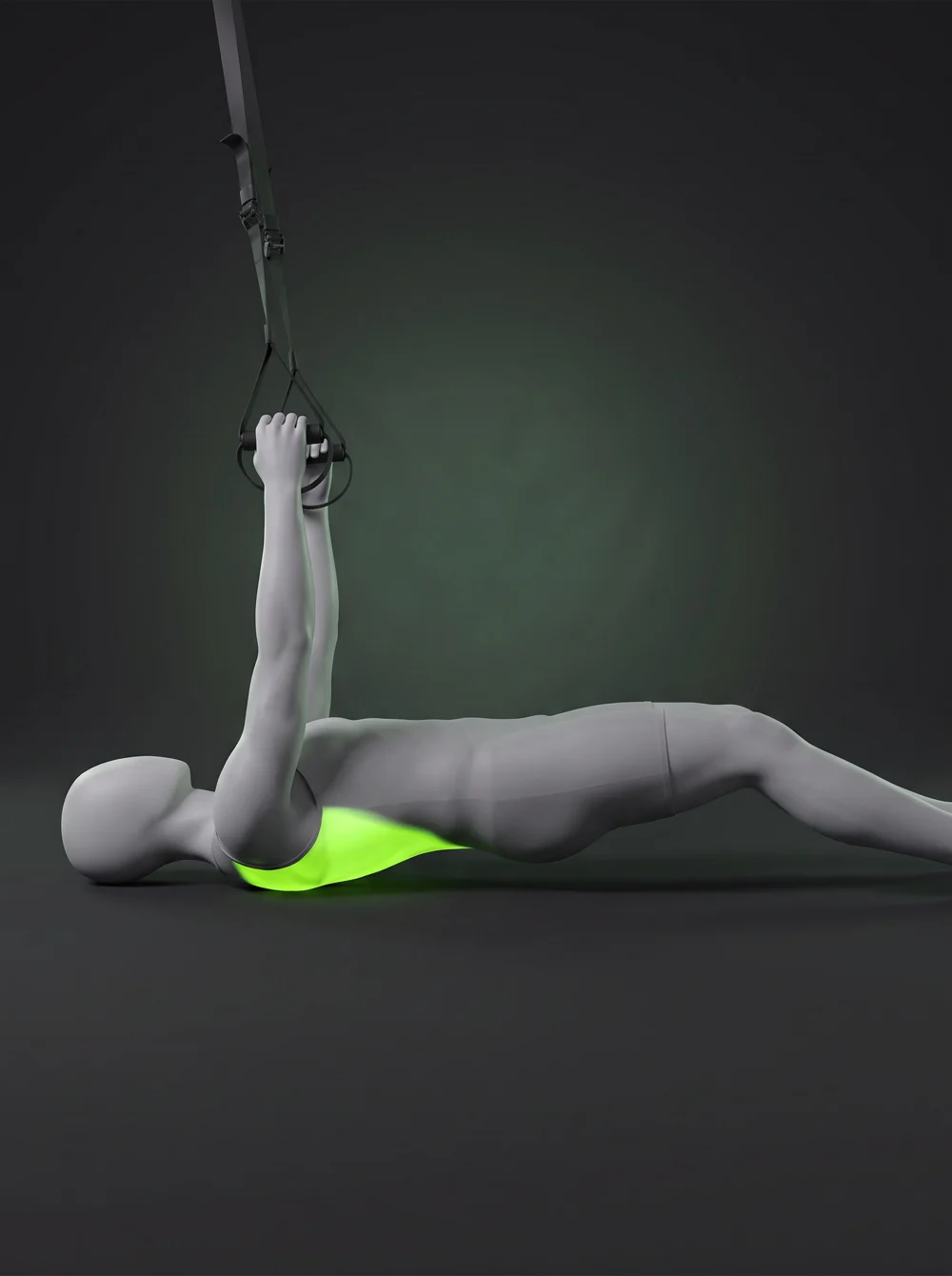 TRX Inverted Row